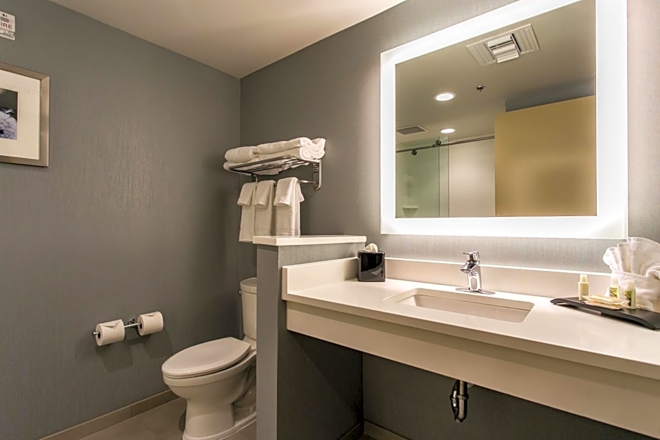 Holiday Inn Hotel & Suites Chattanooga Downtown By IHG