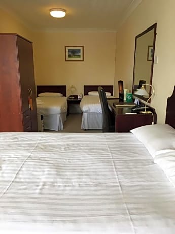 Standard Room with One Double Bed and Two Single Beds