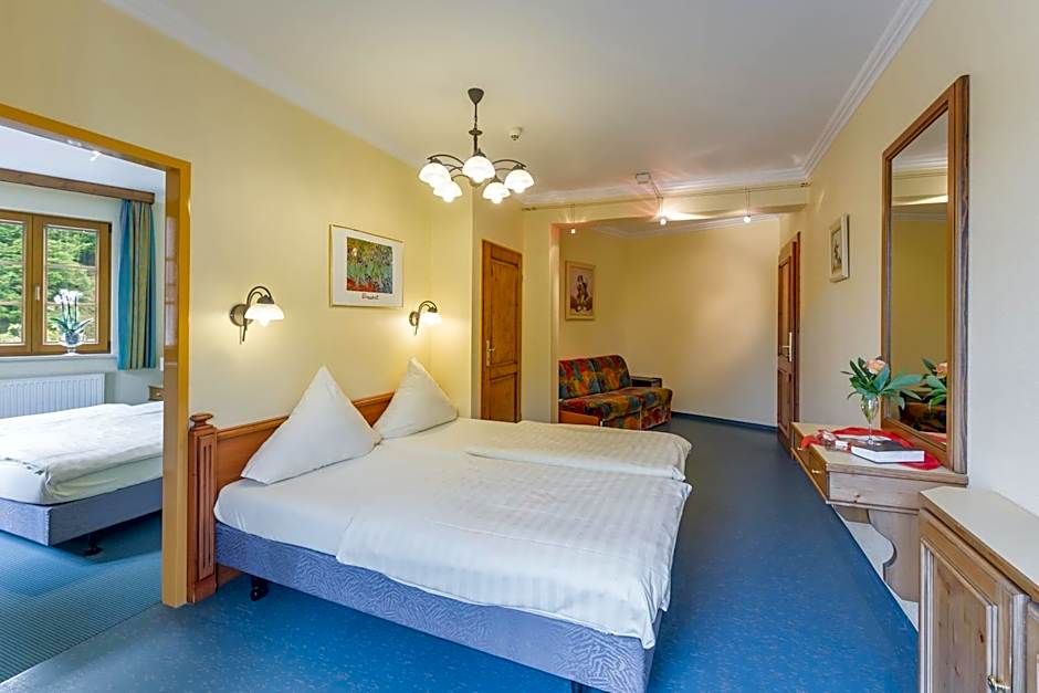 Logis Hotel-Restaurant Petry