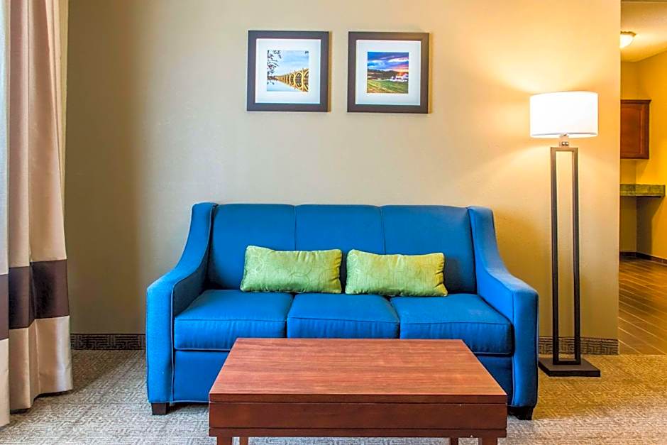 Comfort Inn Lancaster County 