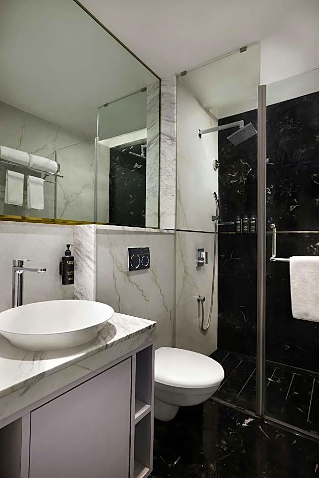 Amanora The Fern Pune, Series by Marriott