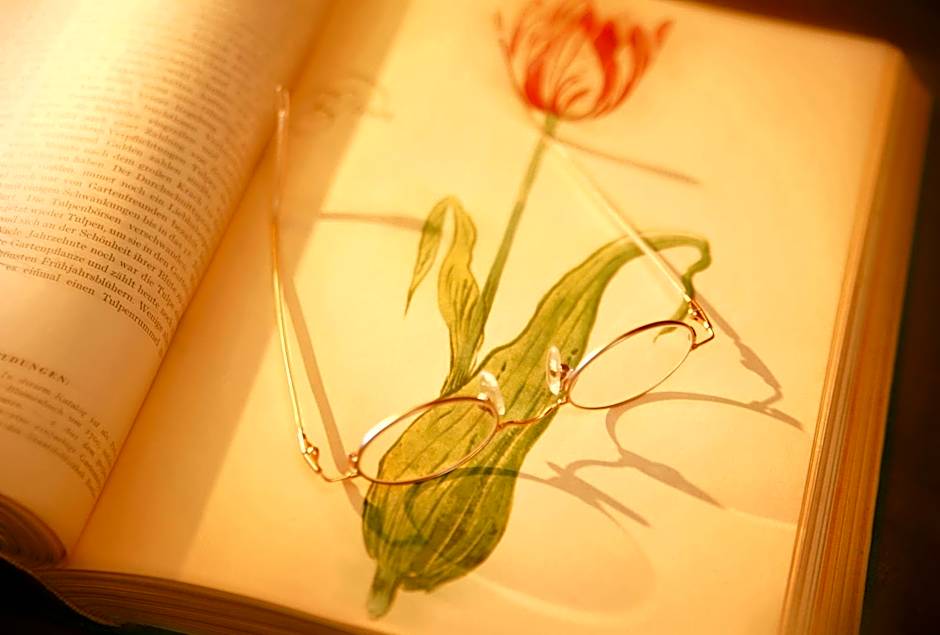 Hotel Tschurtschenthaler