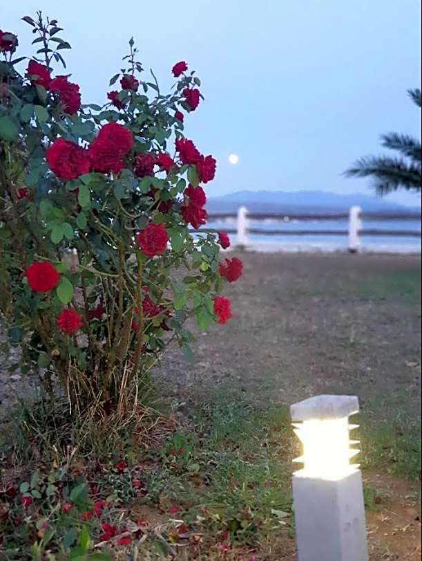 On the wave studios Spitakia sto kyma