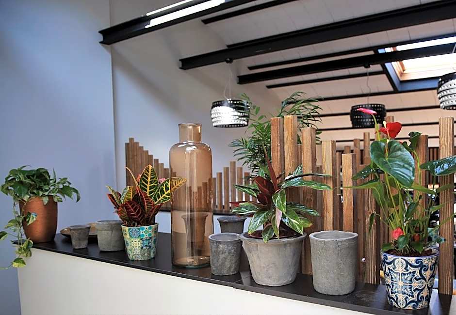 Hotel Cims de Camprodon