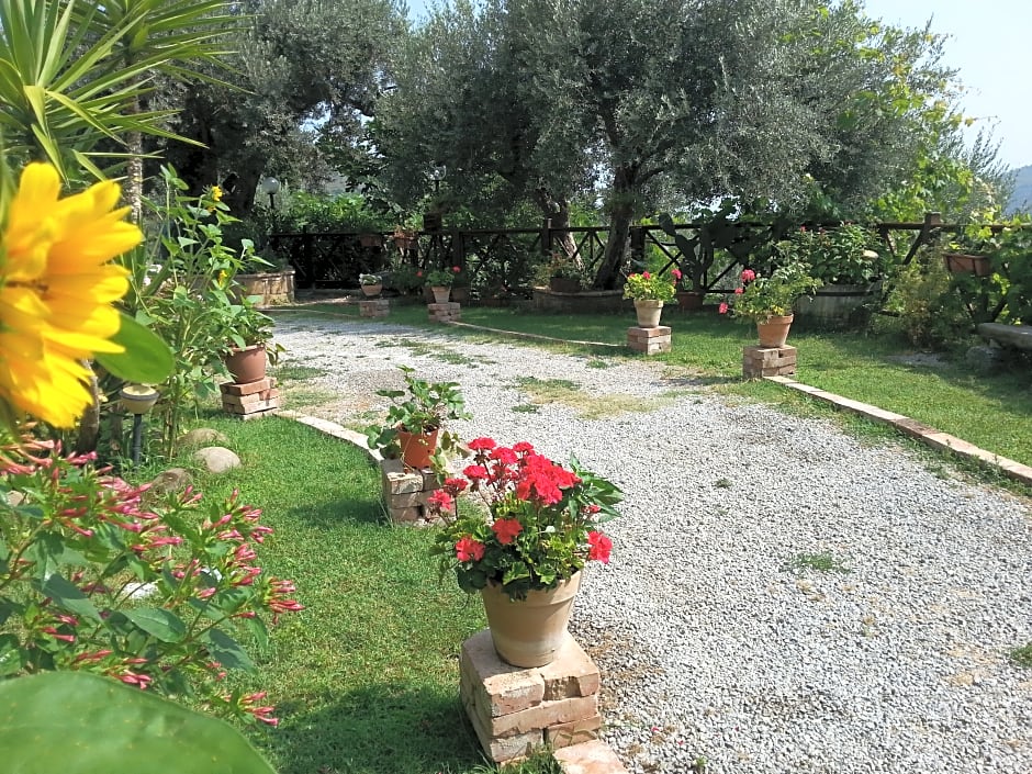 Agriturismo L'Uliveto