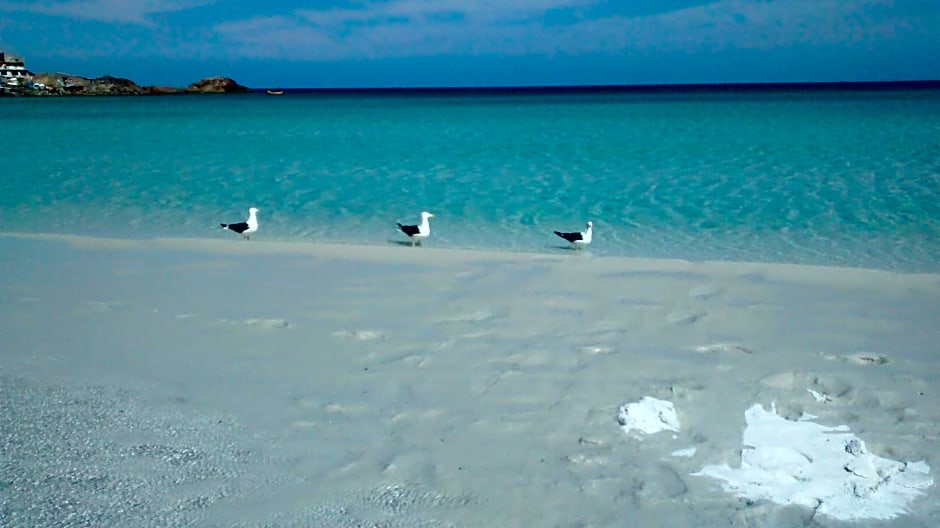 Suítes Recanto cama e café