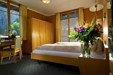 Double Room with Balcony and Waterfall View