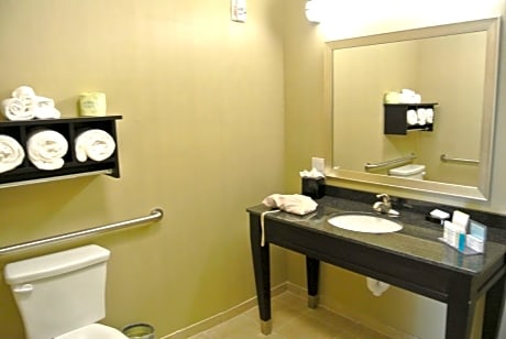 1 King Mobility Hearing Accessible Roll In Shower Studio Non-Smoking
