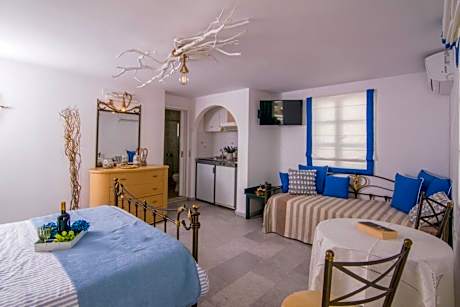 Studio with Sofa Bed