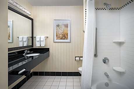 Suite, 1 King Bed with Sofa bed (1 King Bed and 1 Double Sofa Bed)