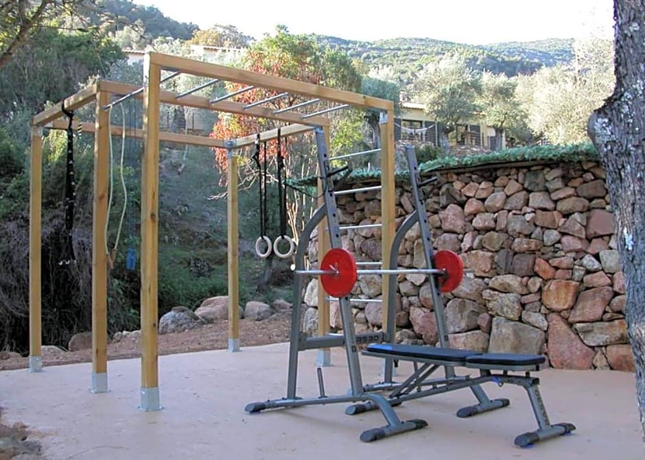 L'oliveraie du Fango