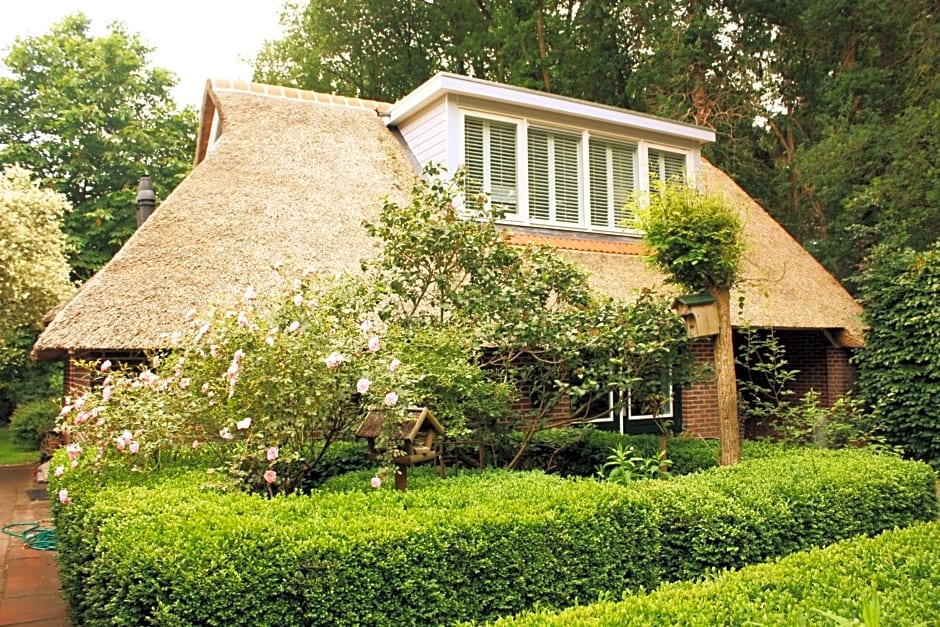 Drentse krent