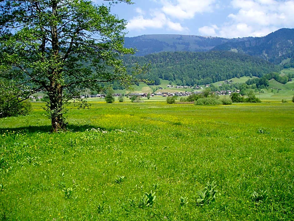 Gasthof Taube