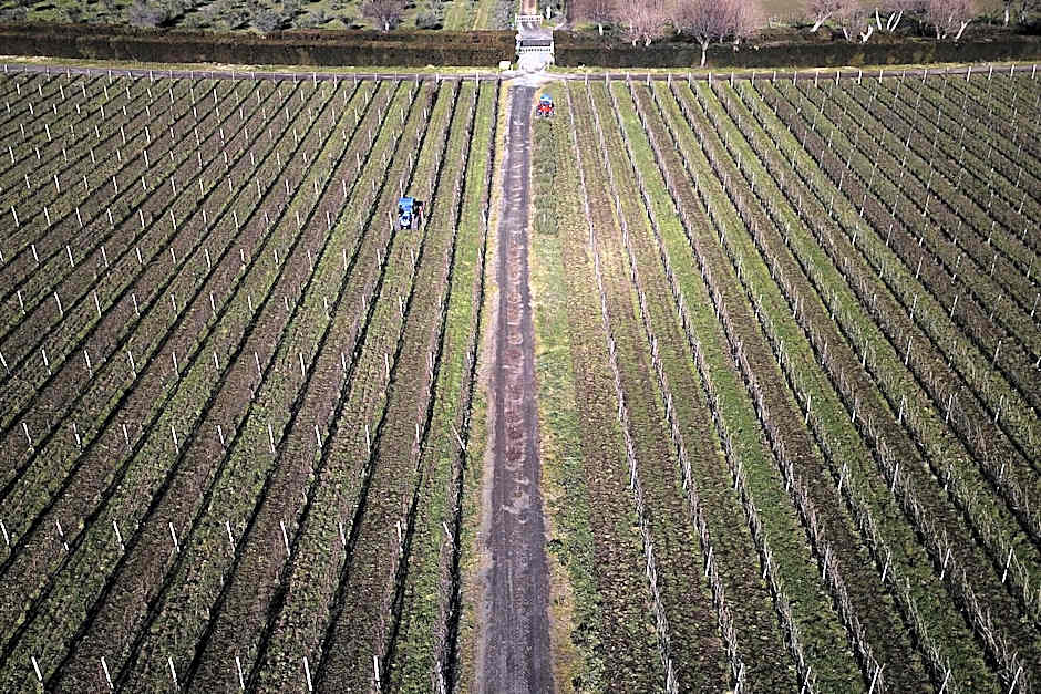 Villa Cavalletti Camere