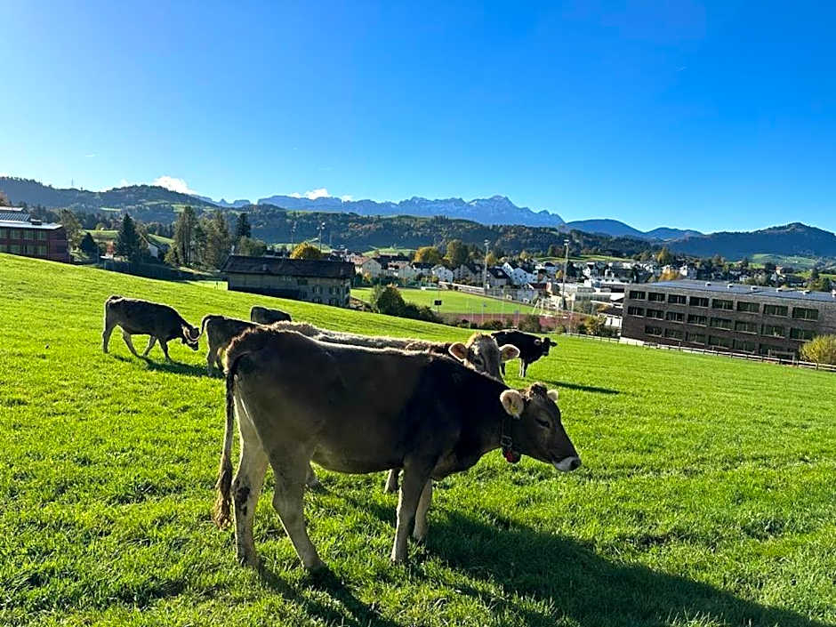 Hotel Säntis Teufen