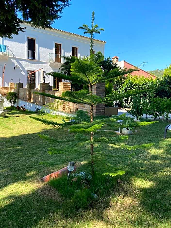 HOTEL LUZ ALMONASTER