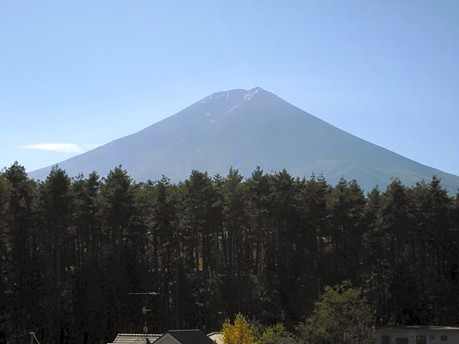 Evergreen Fuji