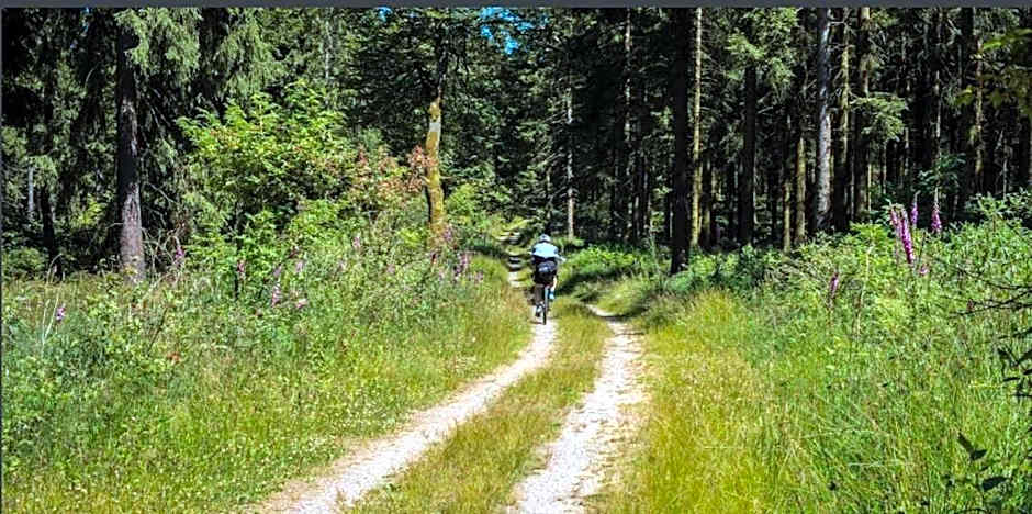 Hotel Restaurant Zum Landmann