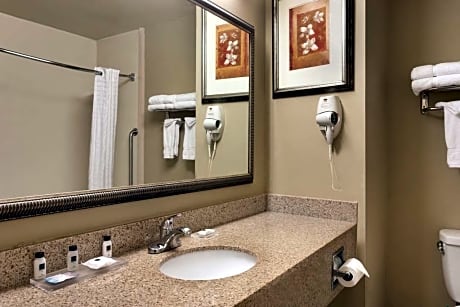 King Bed-Accessible-Non Smoking