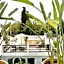 RIAD MAGIE Boutique Hotel