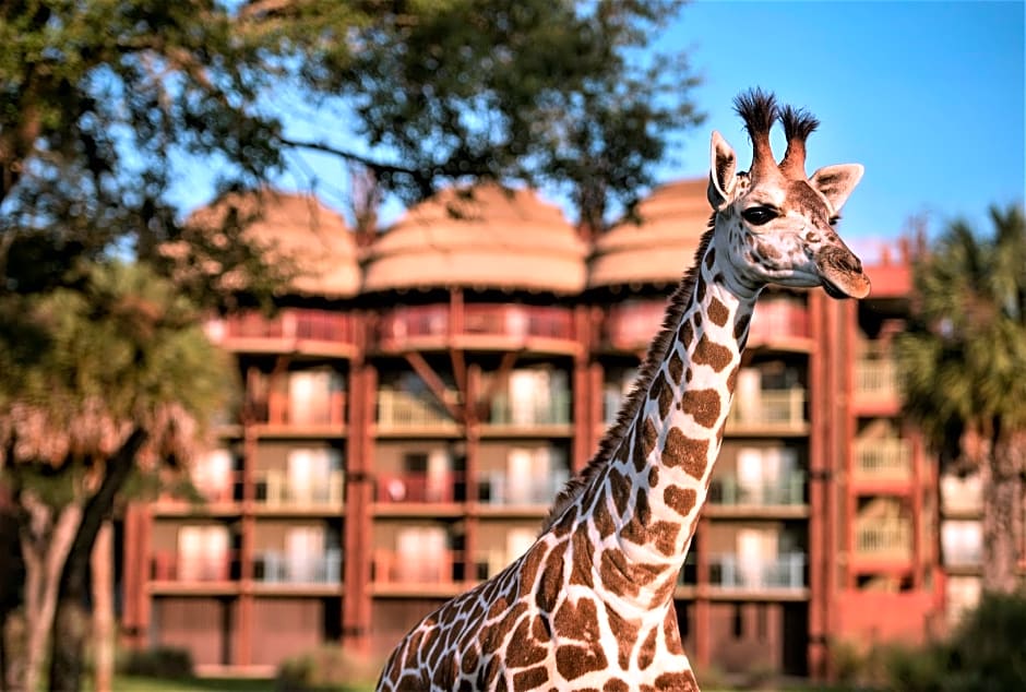 Disney's Animal Kingdom Lodge