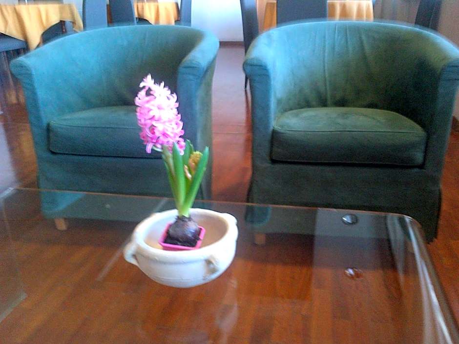 Hotel Barberino