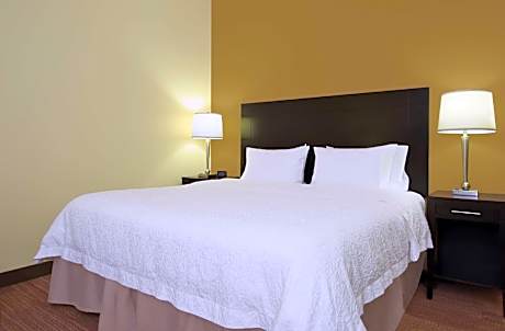 1 King Mobility Access With 3 X3 Shower Nosmok