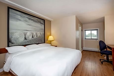 1 King Bed Efficiency Non-Smoking