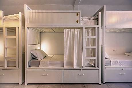 Bed in 10-Bed Mixed Dormitory Room