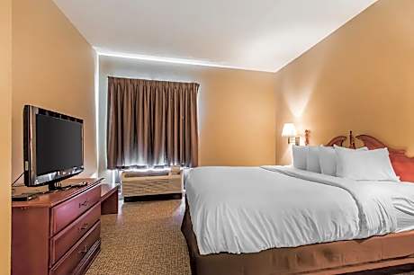 1 King Bed Suite Nonsmoking