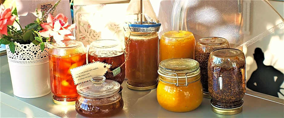 Tree of Life Art Hotel