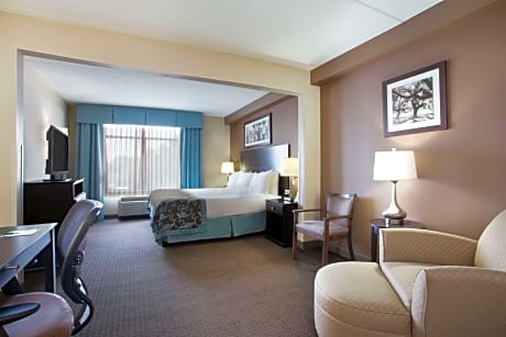 King Room - Non-Smoking