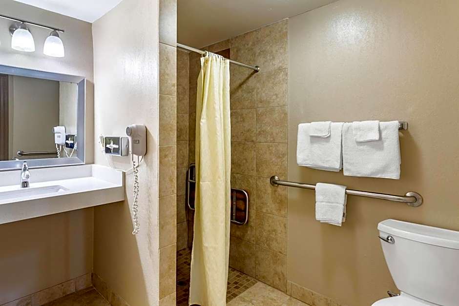 Econo Lodge Inn & Suites Dickson