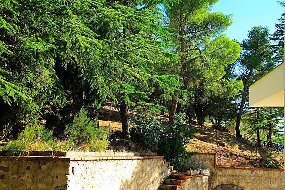 La Casa di Boz B&B