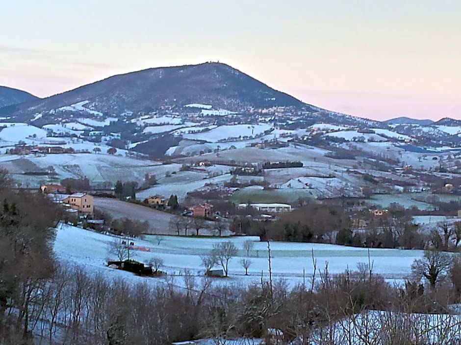 Agriturismo B&B La Cerasa