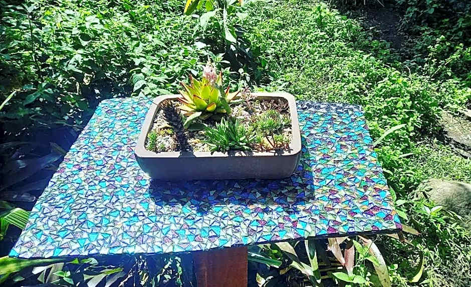 In The Green Backpackers