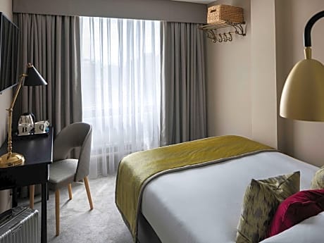 Classic Cozy Double Room