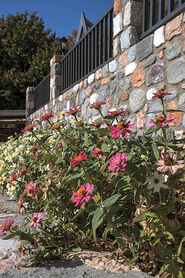 Alkyonis Hotel & Spa