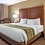 Comfort Inn Okemos