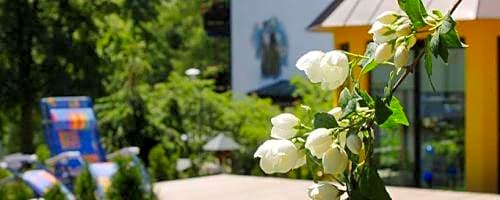 Boutique Hotel Dorer