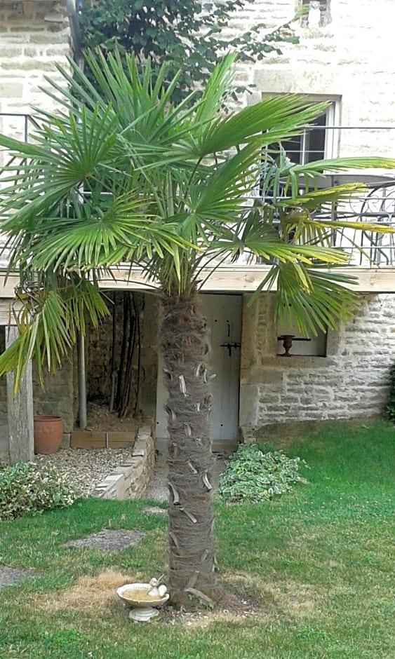10 Côté Cour