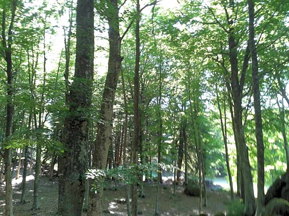 Hotel Italia Abbadia