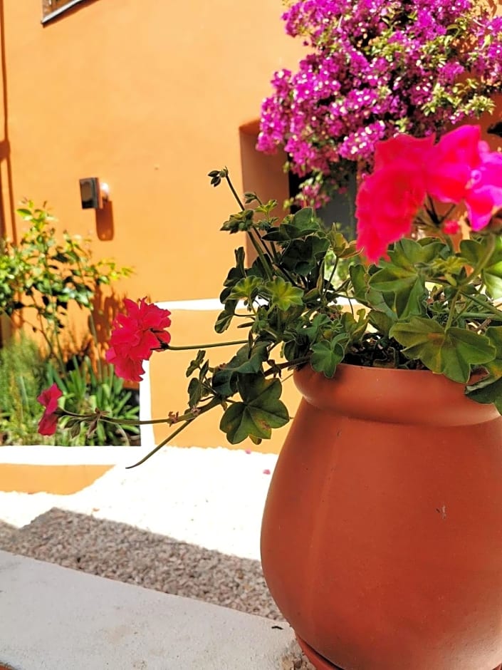 Mountainhome Casa Cancelinha