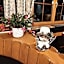 Aparthotel-Almgasthaus Gemsli - A bisal Österreich überm Schweizer Rheintal