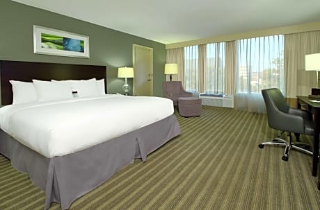 1 King Studio Suite