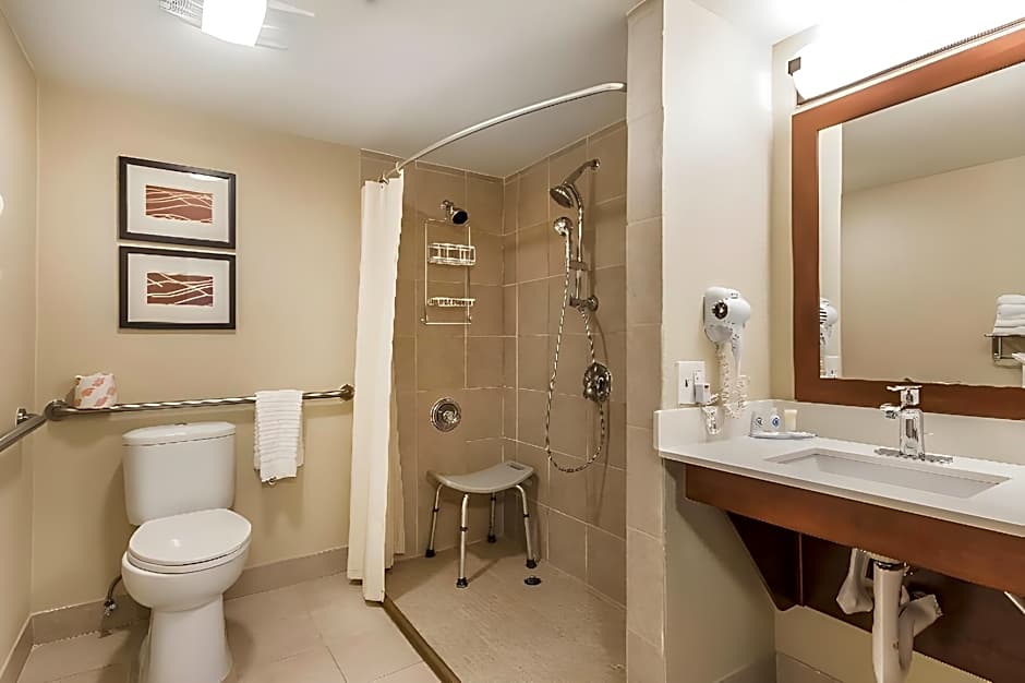 Comfort Inn Sunnyvale - Silicon Valley