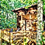 Rivers Edge Treehouses