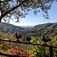 Pietrantica - Affittacamere con giardino NUOVA APERTURA a Trebiano -CITR