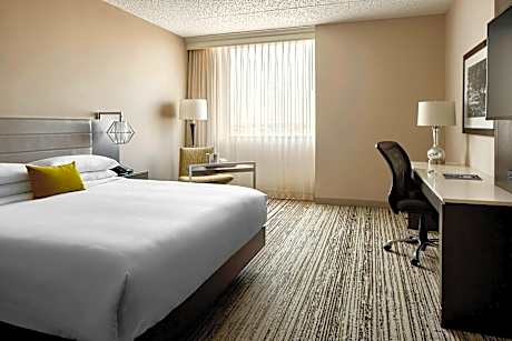 Executive Suite, 1 King, Sofa bed