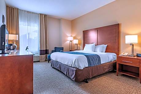 1 King Bed  Suite  No Smoking